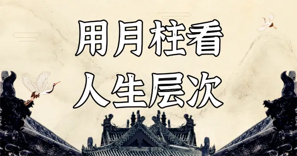 月柱命理大揭秘:看懂你的命运中枢