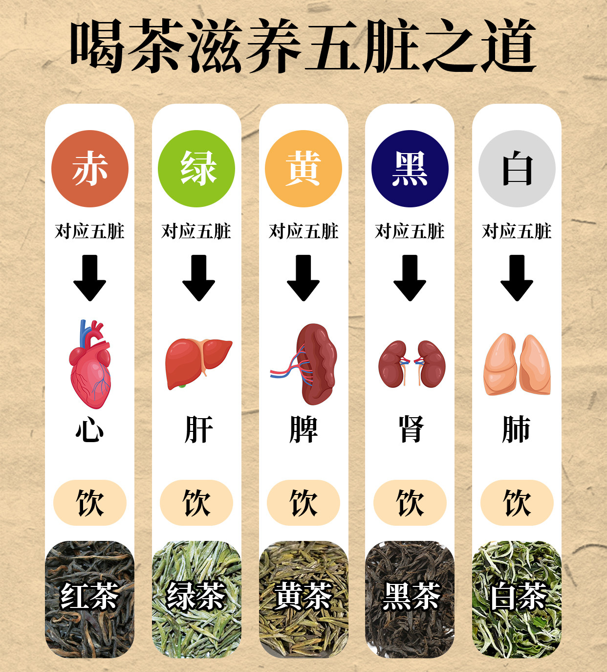 茶与五行:文化传承与养生智慧的融合 茶五行,八字命理喝茶,十二时辰饮茶法,茶叶五行属性,五行对应什么茶,根据八字选茶,时辰喝茶养生,茶饮与五行平衡